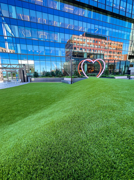 Easy Care Grass-4